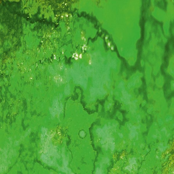 dirty-down-product-moss-effect-liquid